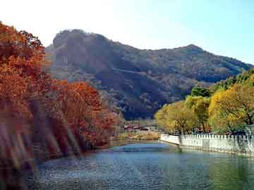 澳门天天彩期期精准平肖，平陆野猪